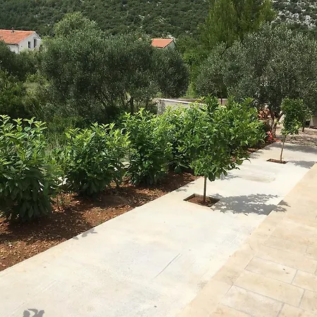 Apartments Meridiana 1